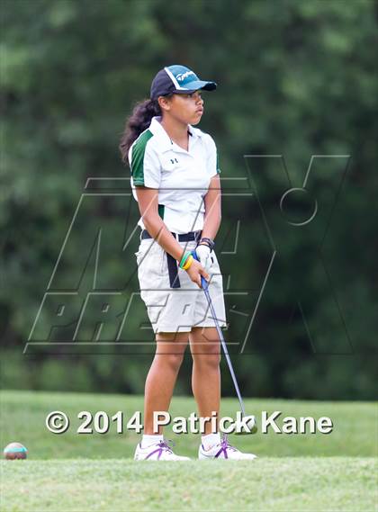 Thumbnail 3 in Arlington County Golf Match photogallery.