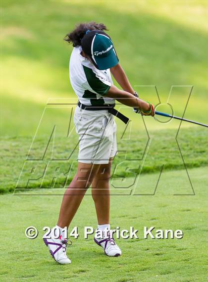Thumbnail 1 in Arlington County Golf Match photogallery.