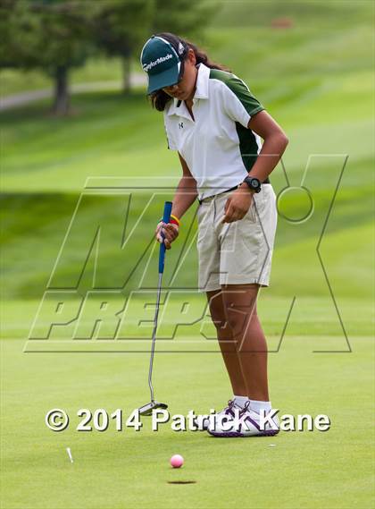 Thumbnail 3 in Arlington County Golf Match photogallery.
