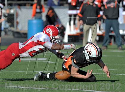 Thumbnail 2 in Derby @ Shelton photogallery.