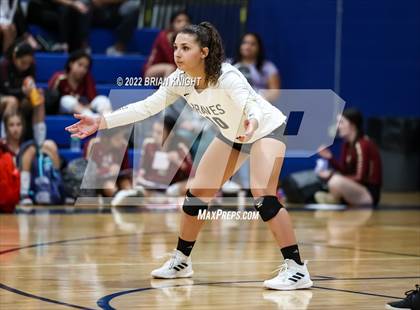 Thumbnail 1 in Lake Gibson @ McKeel Academy photogallery.