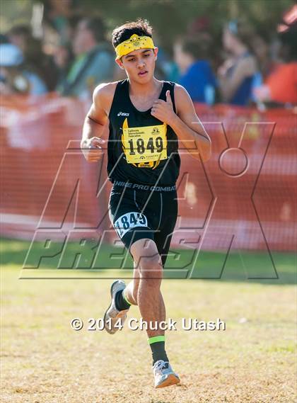 Thumbnail 2 in CIF State Cross Country Championships (D5 Boys Race) photogallery.