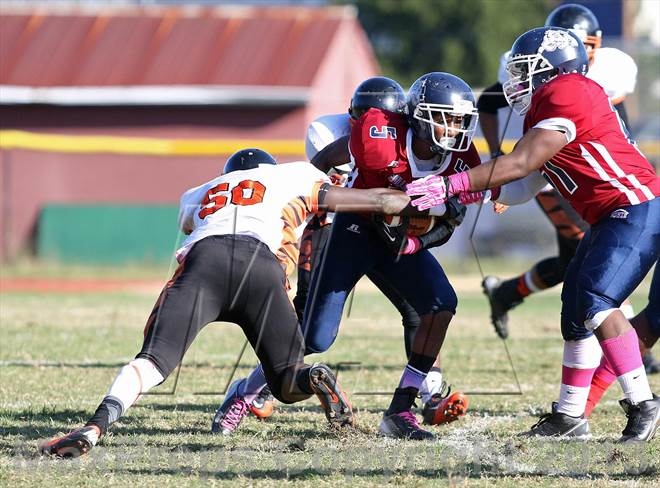 null - Photo 21