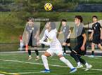 Photo from the gallery "Chantilly @ Westfield"