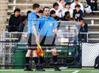 Photo from the gallery "Chantilly @ Westfield"