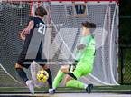 Photo from the gallery "Chantilly @ Westfield"