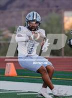 Photo from the gallery "Cactus @ Desert Mountain"