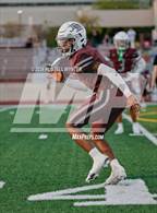 Photo from the gallery "Cactus @ Desert Mountain"