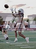 Photo from the gallery "Cactus @ Desert Mountain"