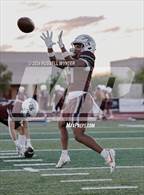 Photo from the gallery "Cactus @ Desert Mountain"