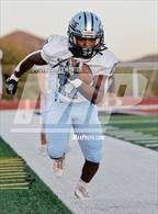 Photo from the gallery "Cactus @ Desert Mountain"