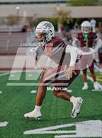 Photo from the gallery "Cactus @ Desert Mountain"