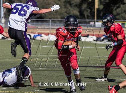 Thumbnail 1 in Lassen @ Foothill photogallery.