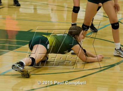 Thumbnail 3 in Basha @ Horizon photogallery.