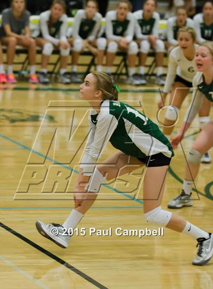Thumbnail 2 in Basha @ Horizon photogallery.