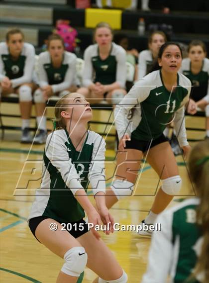 Thumbnail 2 in Basha @ Horizon photogallery.