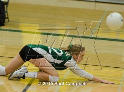 Thumbnail 3 in Basha @ Horizon photogallery.