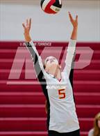 Photo from the gallery "Mesa Ridge @ Coronado"