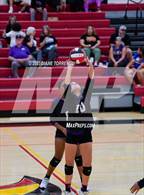 Photo from the gallery "Mesa Ridge @ Coronado"