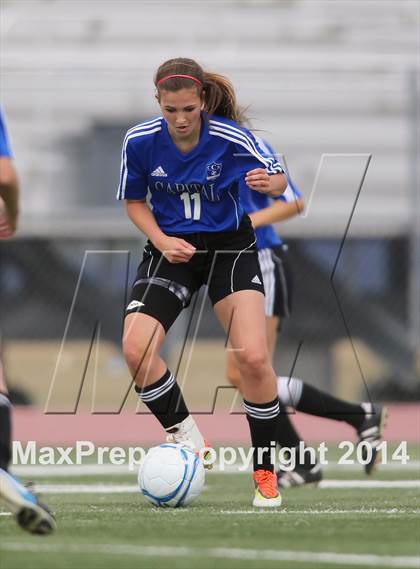 Thumbnail 2 in Amador vs. Capital Christian (CIF SJS D6 Final) photogallery.