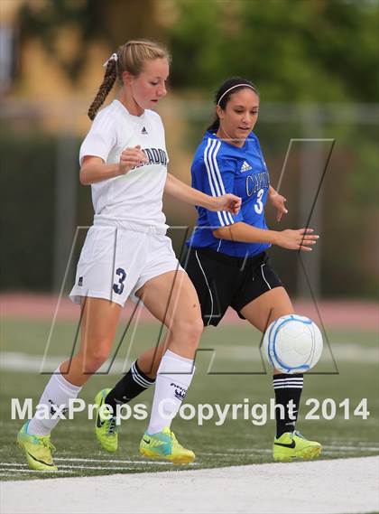 Thumbnail 3 in Amador vs. Capital Christian (CIF SJS D6 Final) photogallery.