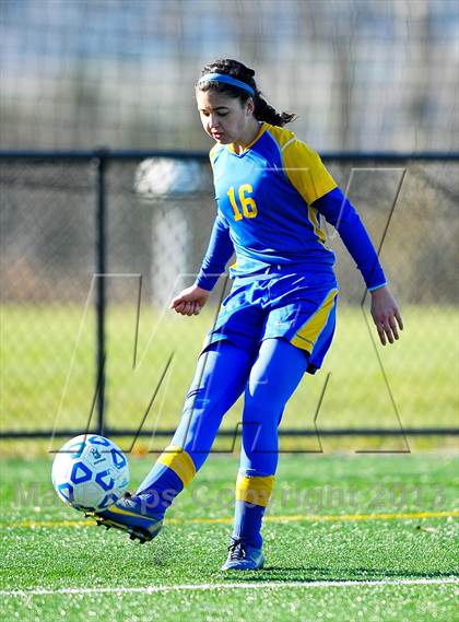 Thumbnail 1 in Lansing vs. Haldane (NYSPHSAA Class C Semifinal) photogallery.