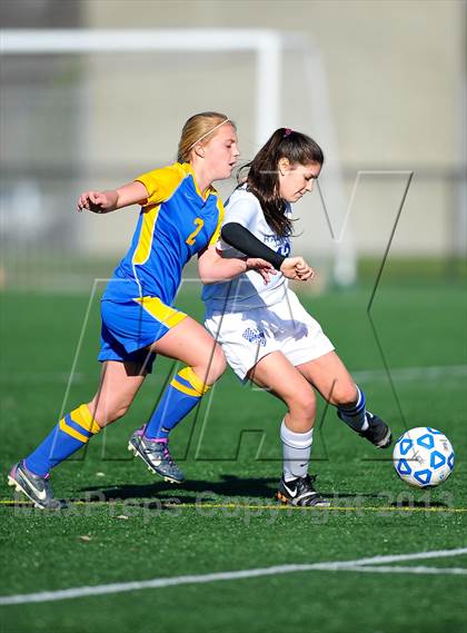 Thumbnail 2 in Lansing vs. Haldane (NYSPHSAA Class C Semifinal) photogallery.