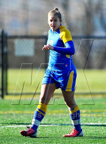 Thumbnail 1 in Lansing vs. Haldane (NYSPHSAA Class C Semifinal) photogallery.