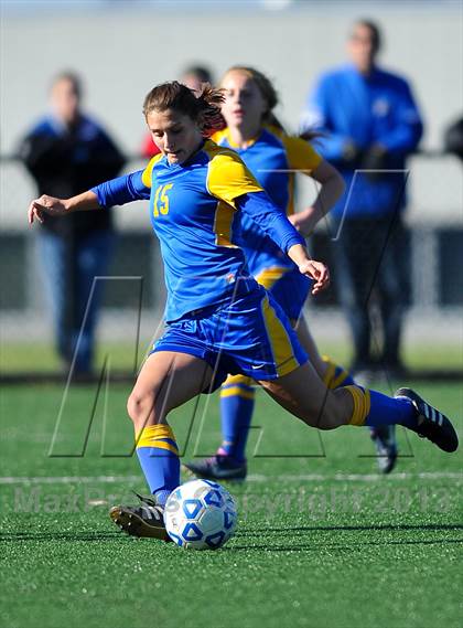 Thumbnail 1 in Lansing vs. Haldane (NYSPHSAA Class C Semifinal) photogallery.