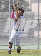 Photo from the gallery "Lincoln @ Gardena"