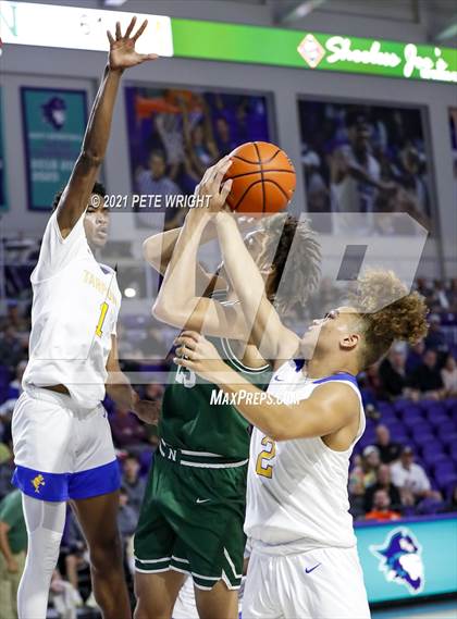 Thumbnail 1 in Newman vs Charlotte (City of Palms Classic) photogallery.