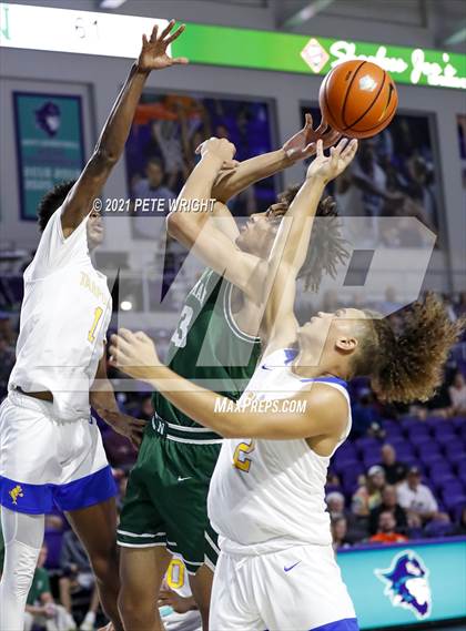 Thumbnail 2 in Newman vs Charlotte (City of Palms Classic) photogallery.