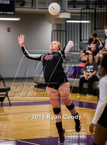 Thumbnail 3 in Nettleton vs Northside (Fayetteville Volleyball Challenge) photogallery.