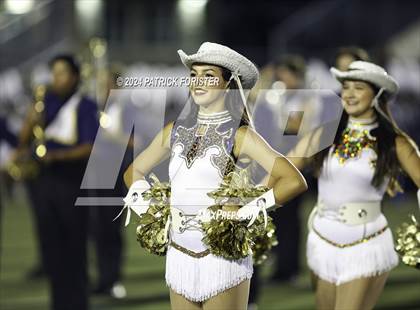 Thumbnail 2 in O'Connor @ Sotomayor photogallery.