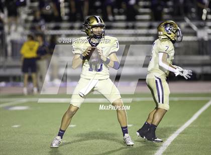 Thumbnail 2 in O'Connor @ Sotomayor photogallery.
