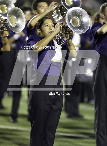 Thumbnail 1 in O'Connor @ Sotomayor photogallery.