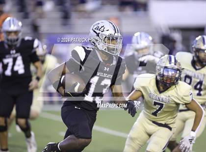 Thumbnail 1 in O'Connor @ Sotomayor photogallery.
