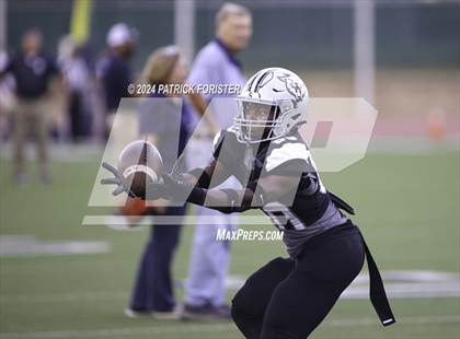 Thumbnail 1 in O'Connor @ Sotomayor photogallery.
