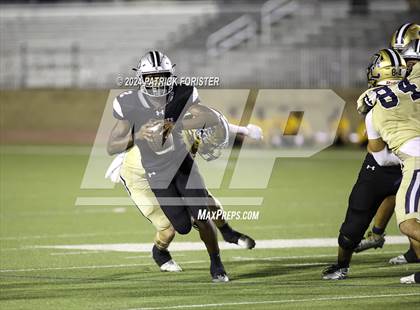 Thumbnail 1 in O'Connor @ Sotomayor photogallery.