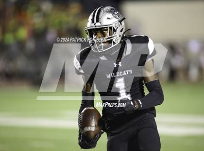 Thumbnail 1 in O'Connor @ Sotomayor photogallery.