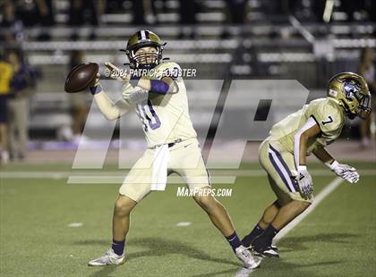 Thumbnail 2 in O'Connor @ Sotomayor photogallery.