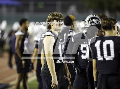 Thumbnail 1 in O'Connor @ Sotomayor photogallery.