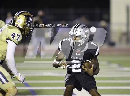 Thumbnail 1 in O'Connor @ Sotomayor photogallery.