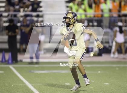 Thumbnail 1 in O'Connor @ Sotomayor photogallery.