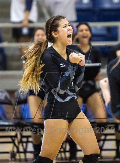 Thumbnail 2 in Lake Ridge @ Mansfield Summit photogallery.