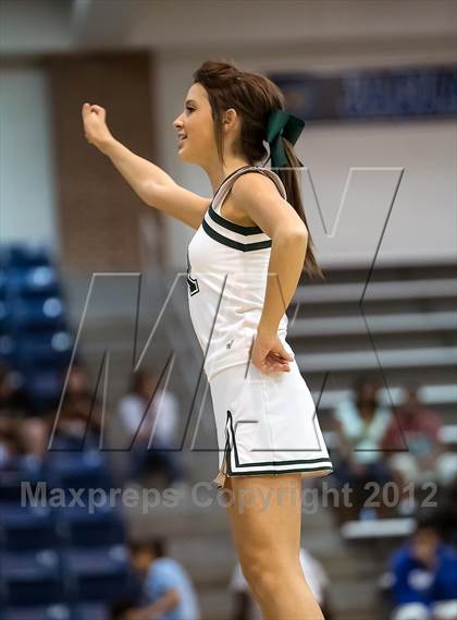 Thumbnail 1 in Lake Ridge @ Mansfield Summit photogallery.