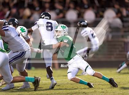 Thumbnail 3 in Porter Ridge @ Weddington photogallery.