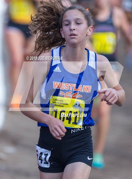 Thumbnail 2 in CIF State Cross Country Championships (Girls D2 Race) photogallery.