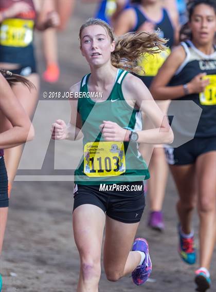 Thumbnail 3 in CIF State Cross Country Championships (Girls D2 Race) photogallery.