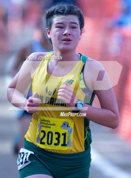 Thumbnail 2 in CIF State Cross Country Championships (Girls D2 Race) photogallery.